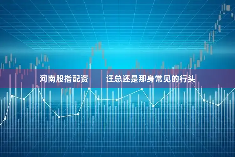 河南股指配资        汪总还是那身常见的行头
