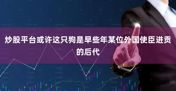 炒股平台或许这只狗是早些年某位外国使臣进贡的后代